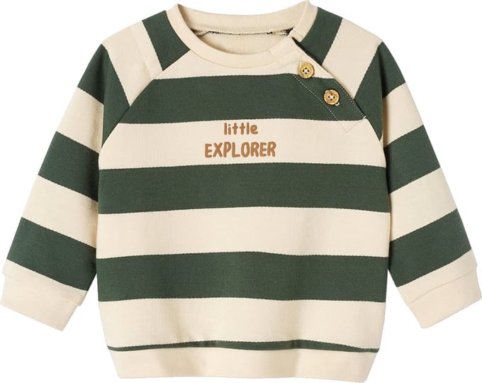 Vertbaudet Gestreept sweatshirt van molton baby