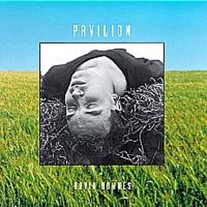 David Downes - Pavilion (CD)