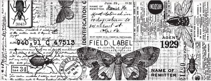 Idea-Ology Collage Paper - Entomologie