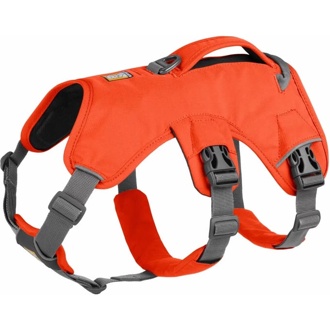 Hondentuig Ruffwear Web Master