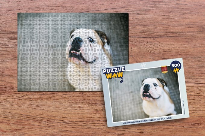 Puzzel Hond - Bulldog - Wit - Legpuzzel - Puzzel 500 stukjes