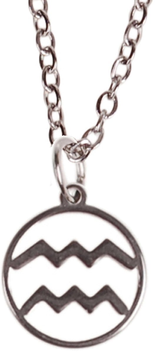 Ketting Zilverkleurig 55cm - Hangertje Sterrenbeeld RVS - Waterman