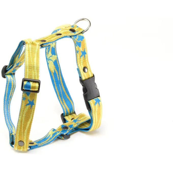 Tuig voor hond lagoon geel / blauw 25 mmx45-65 cm