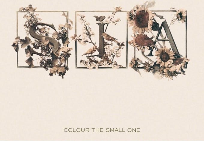 Colour The Small One - Sia