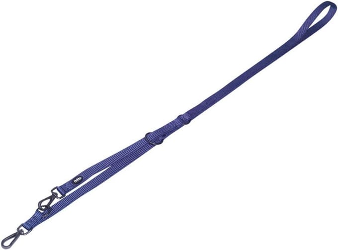 Verstelbare Hondenriem Blauw Duurzaam Nylon Comfortabel