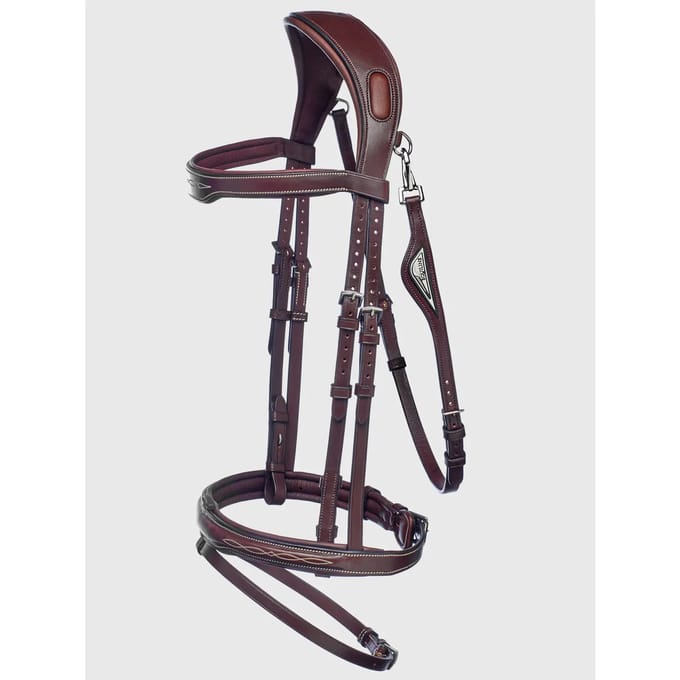 Anatomische hoofdstellen Equiline Light JP