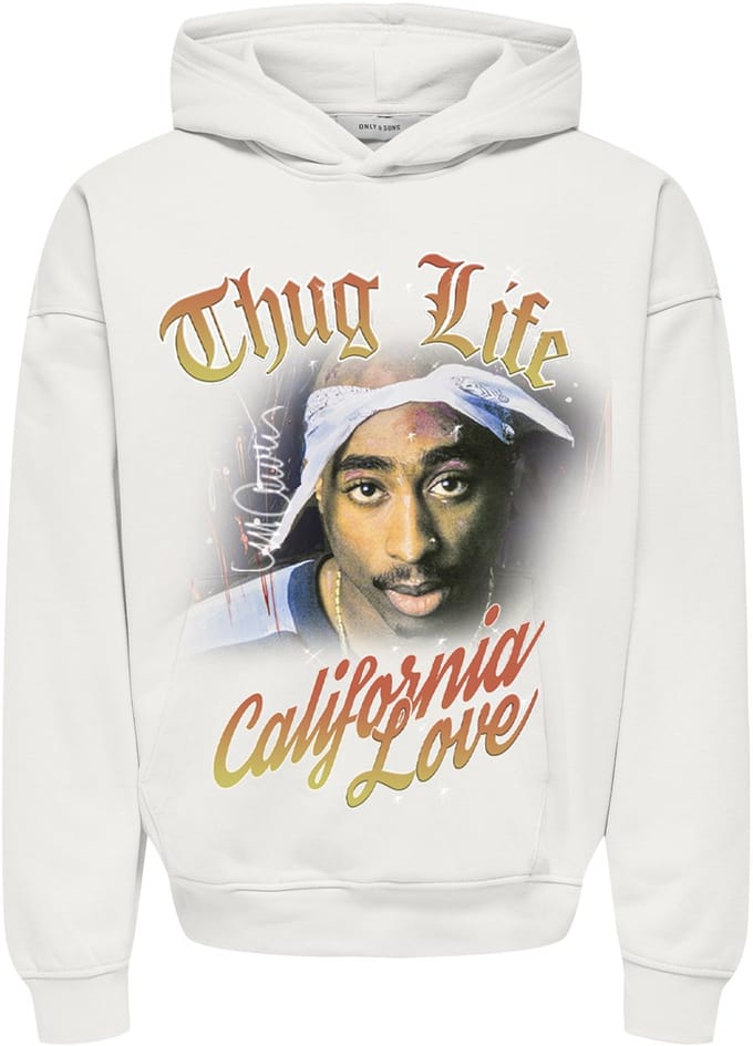 ONLY&SONS - ONSTUPAC VTG HOODIE SWEAT - Heren - Sweaters