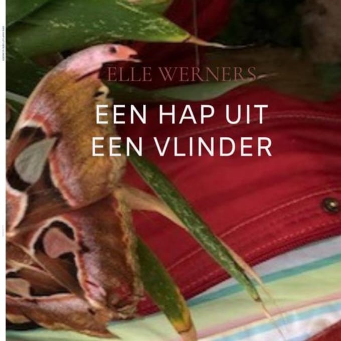 Een Hap Uit Een Vlinder - ELLE WERNERS