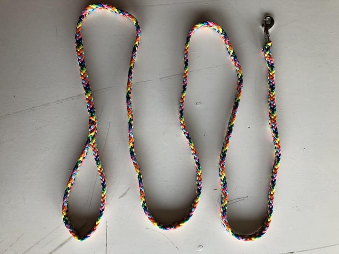 Bianca's Standaard Lijn - Hondenriem - 200 cm - Medium - Regenboog