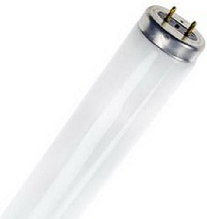 SPL T8 Insectenlamp | 18W 590mm