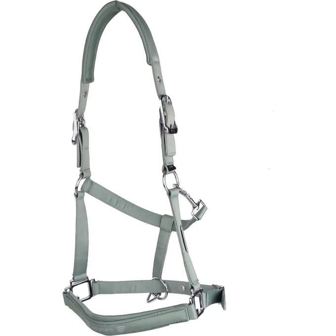 Halster voor paarden USG Shiny
