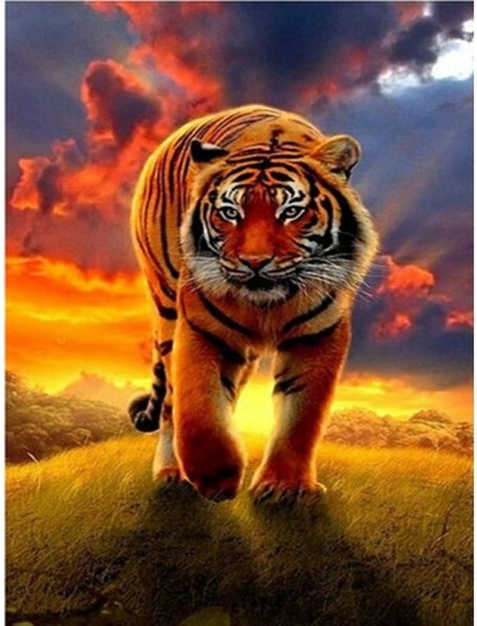 Diamond Painting Set Tiger 40x30cm Full size ronde steentjes