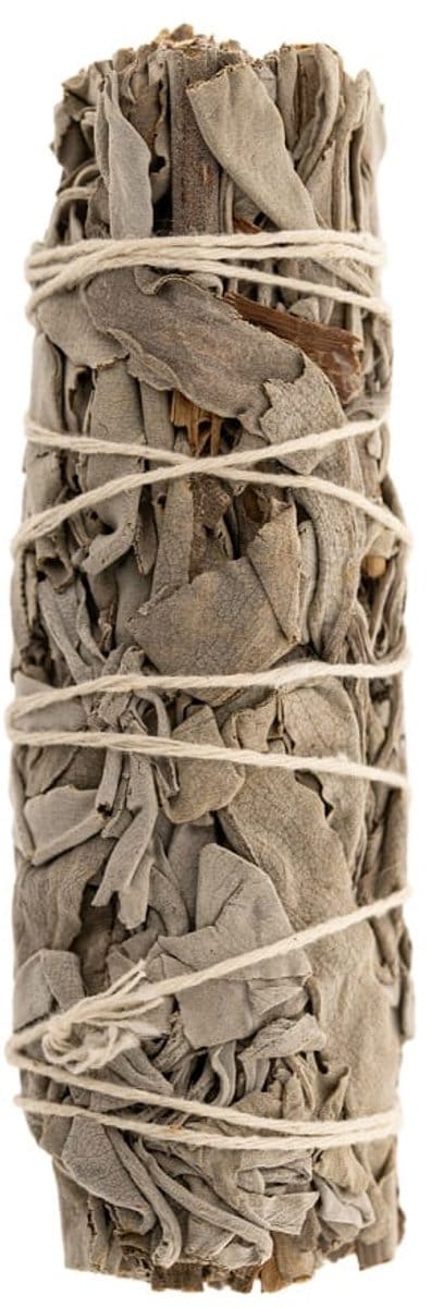 Witte salie Smudge mini