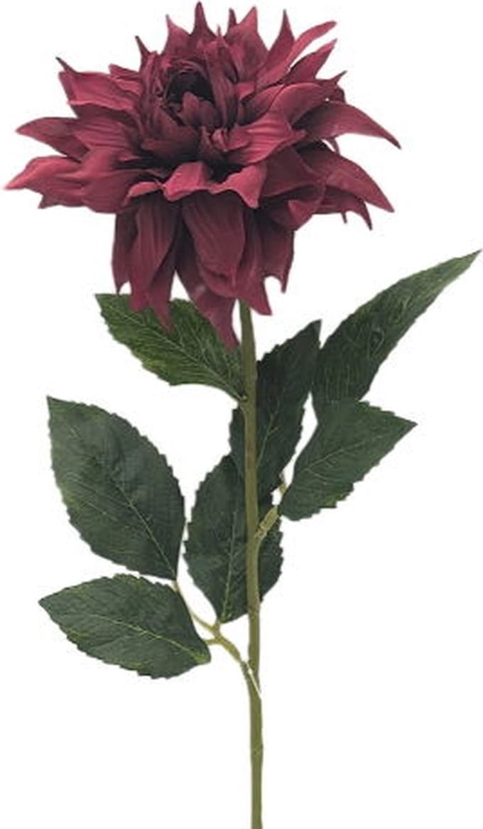 Kunstbloem dahlia boroodeaux, 58 cm Buitengewoon de Boet