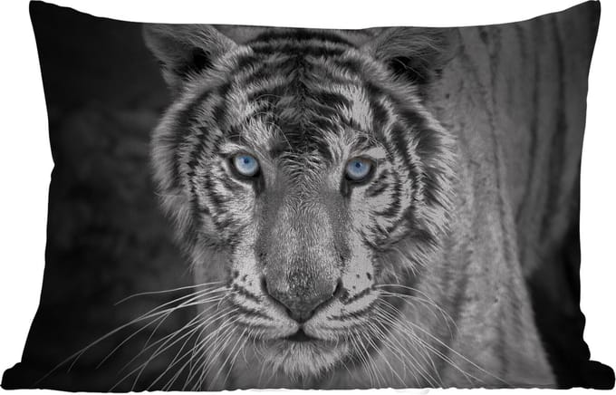 Buitenkussens - Tuin - Tijger - Dier - Zwart - Blauw - Modern - 50x30 cm