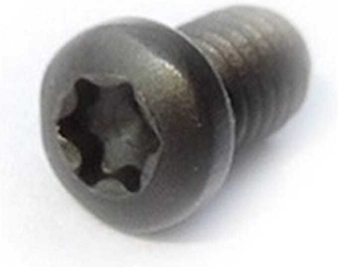 Torx boutje M4 x 6 x 8 mm.