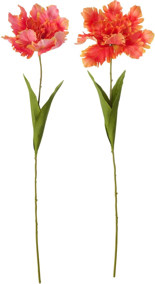 J-Line bloem Tulp Papegaai - textiel - oranje - set van 2