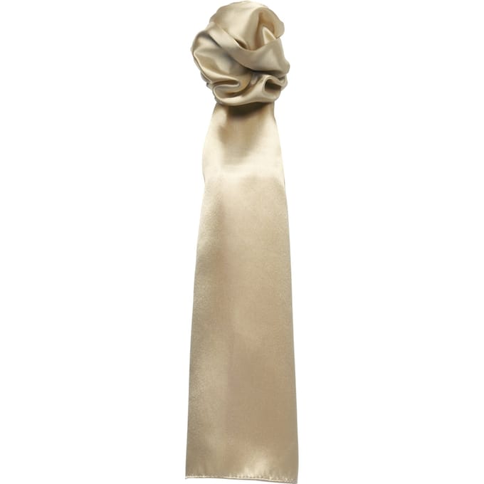 Premier Sjaal - Dames/vrouwen Gewone Zakelijke Sjaal (Khaki)