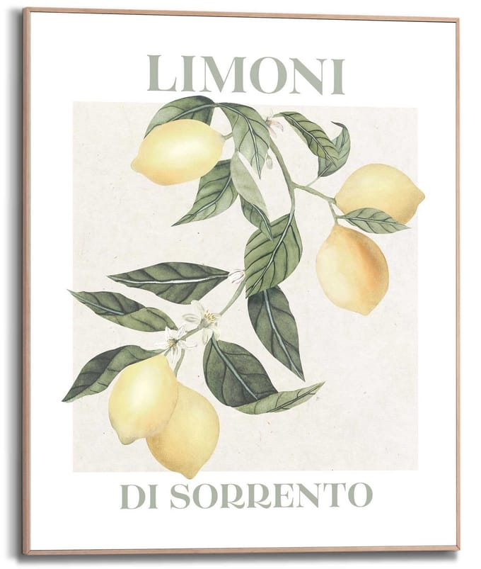 Schilderij Limoni - 50 x 40 - Hout - REINDERS