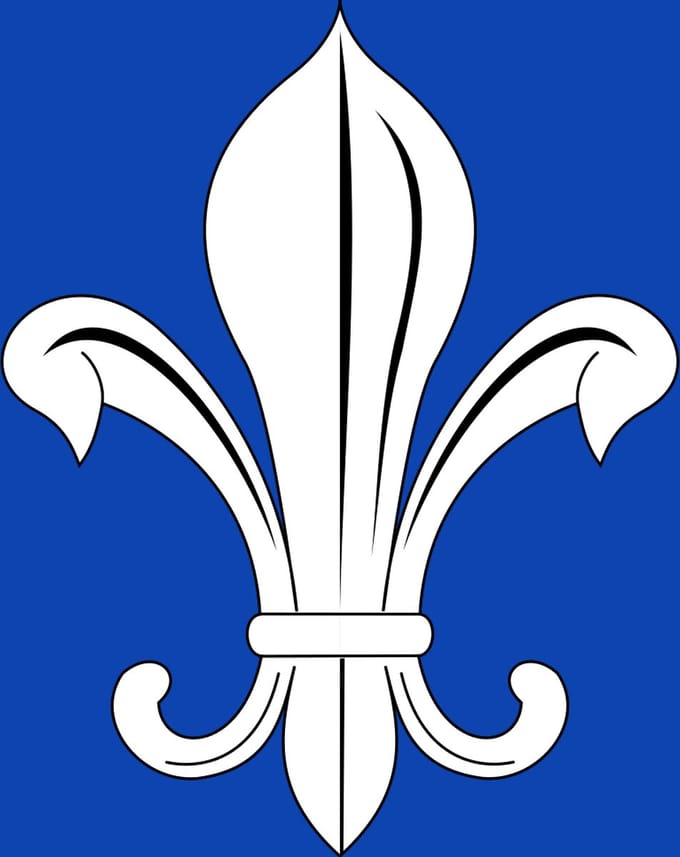 Vlag Mesen 200x300cm