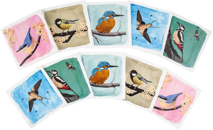 CJ Wildlife - 10st Wenskaarten - Tuinvogels - Artwork van Myrte (2 x 5 designs)