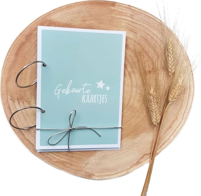 Fien & Feau Bewaarbundel geboortekaartjes - Mint - A5