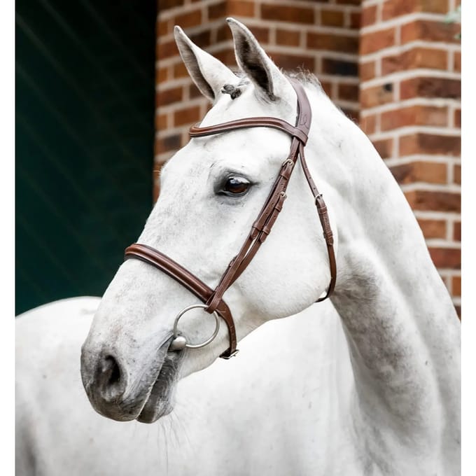 Hoofdstel Horseware