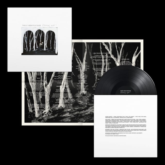 Crooked Wing - These New Puritans