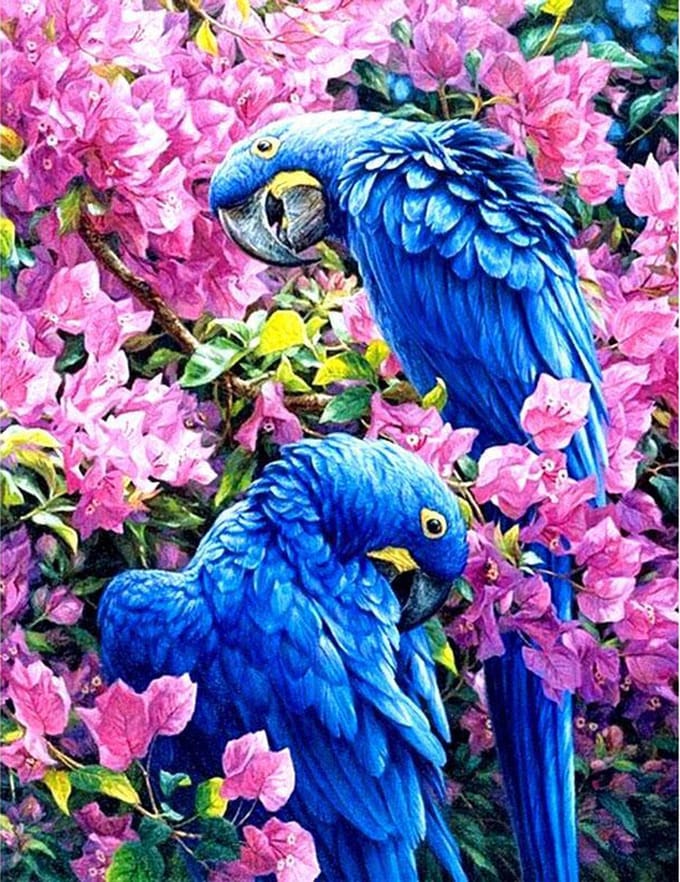 Diamond painting 30x40cm - papegaaien - vierkante steentjes