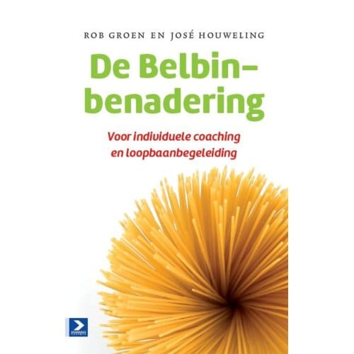 De Belbin-Benadering - Rob Groen