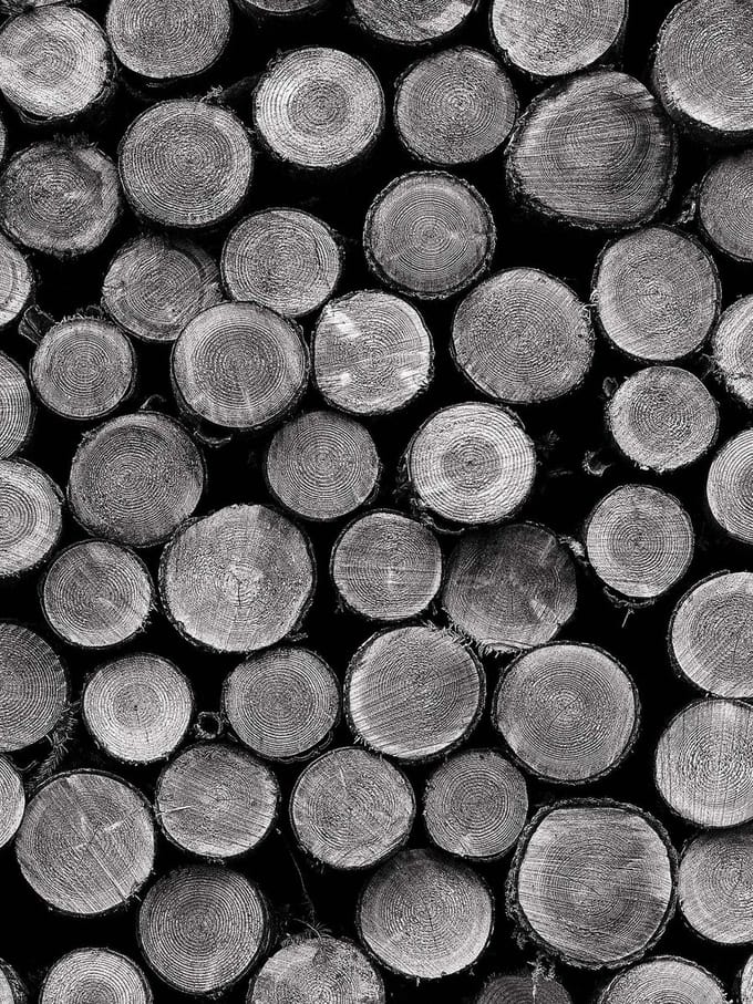 Fotobehang Piled Tree Trunks | XXL - 206cm x 275cm | 130g/m2 Vlies