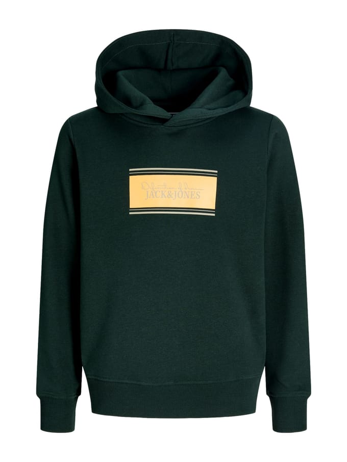 Jack & Jones Junior Hoodie Hoodie Boys