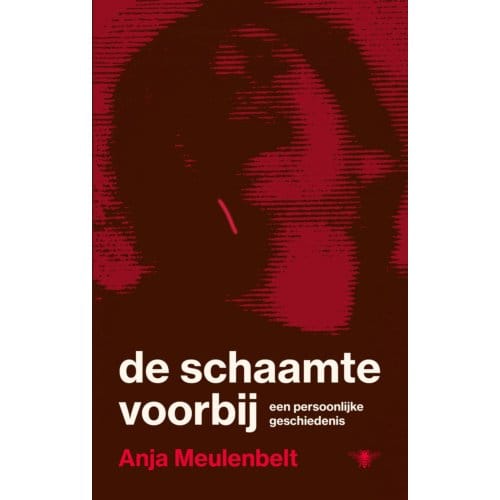 De Schaamte Voorbij - Anja Meulenbelt