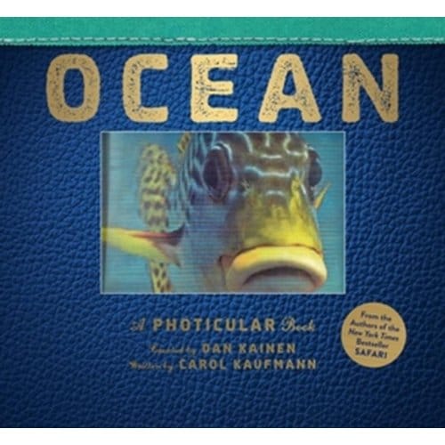 Ocean - Photicular - Dan Kainen