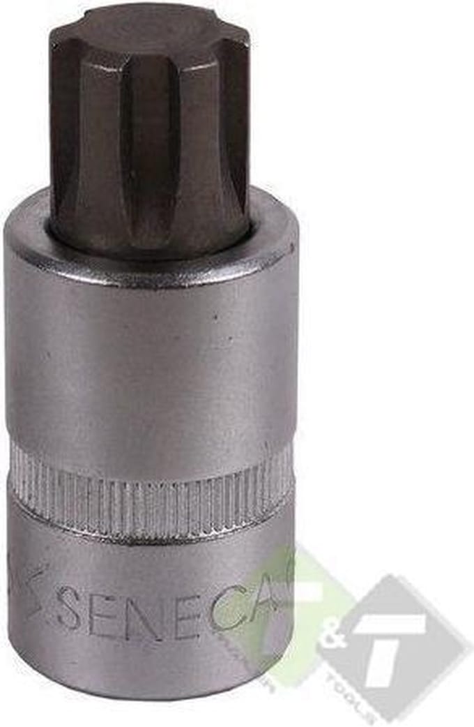 M5, 55MM, Ribe dopbit, 1/2 duims aansluiting, Seneca