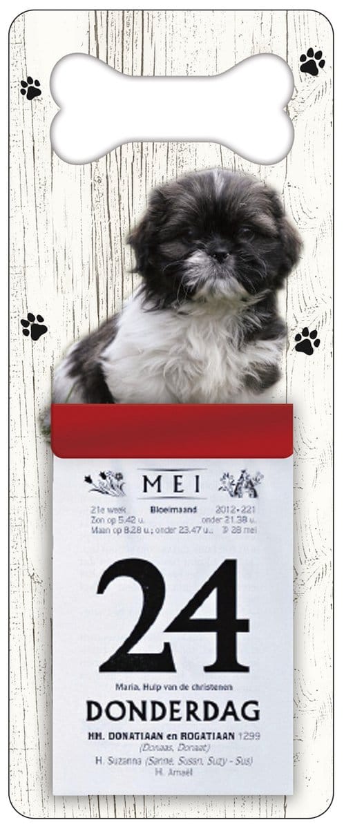 Scheurkalender 2027 Hond: chichu