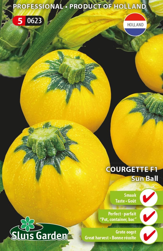 Sierpompoen (Cucurbita pepo) - Courgette Sun Ball F1 - Moestuin - bloeit in Oktober / Juli / Augustus / September