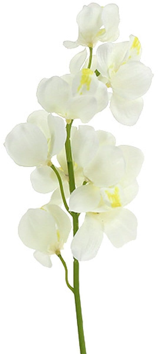 Orchidee kunst crème 50cm 6st, 6 Stück