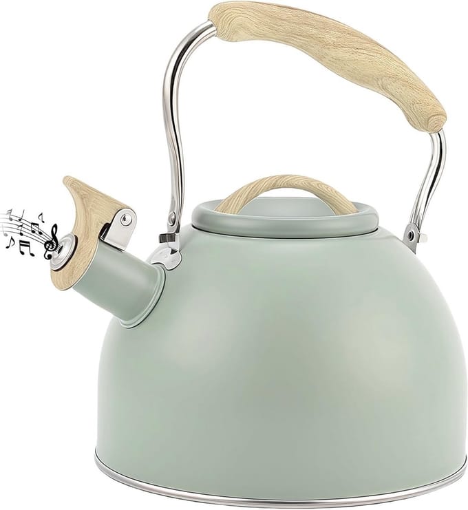 Fluitketel - Waterketel - Koffie en Thee - Anti-hitte handvat - 3L Capaciteit - Groen