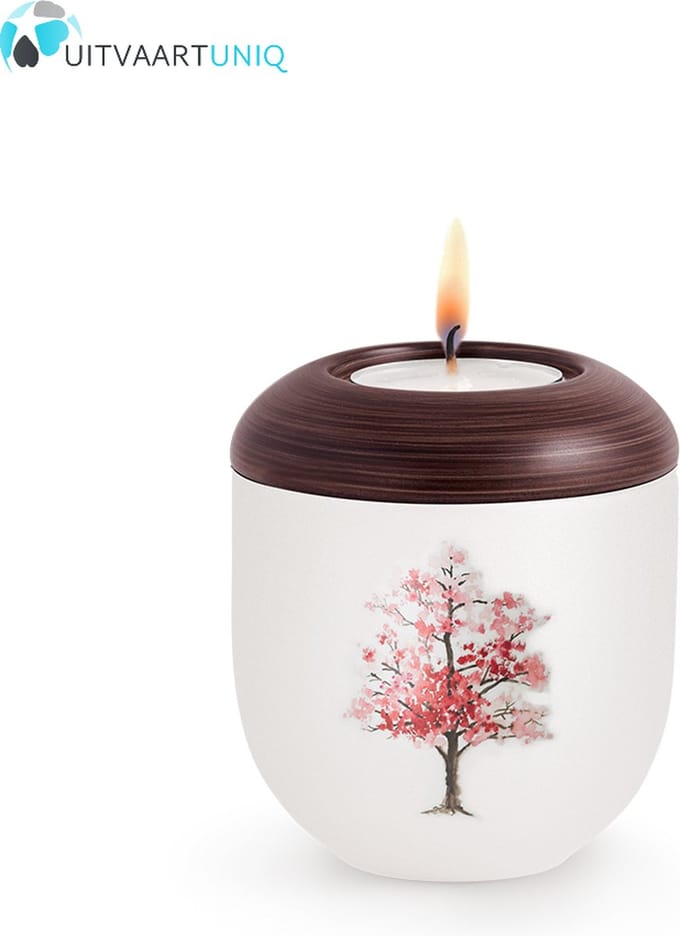 Mini urn Parlemoer kersebloesem – met lichtje