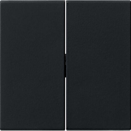 Gira Systeem 55 Besturingselement/Centrale plaat Schakelmateriaal - 0295005 - E2YDR