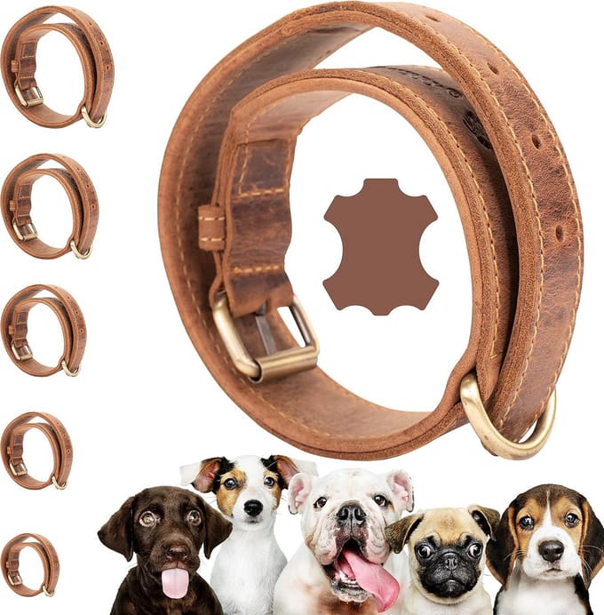 Extreem Robuuste Leren Halsband voor Sterke Honden, Bruin