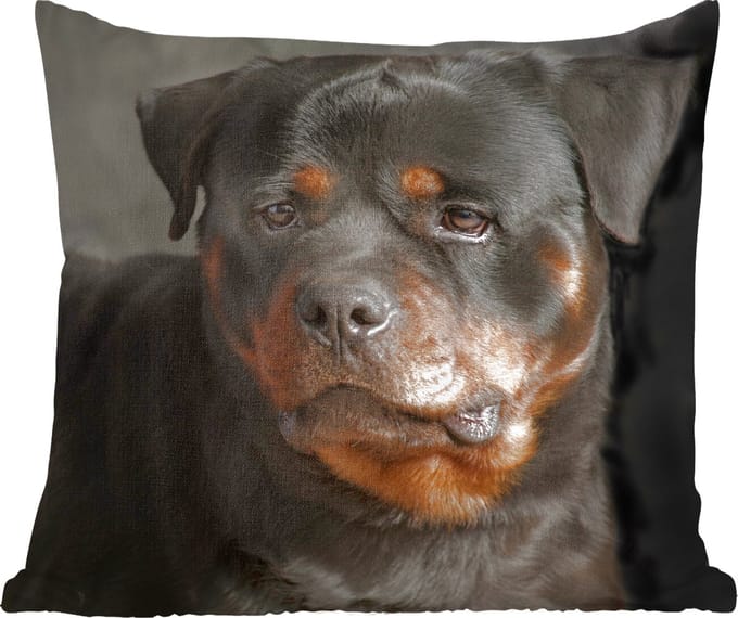 Sierkussens - Kussentjes Woonkamer - 60x60 cm - Portret van Rottweiler hond in de studio