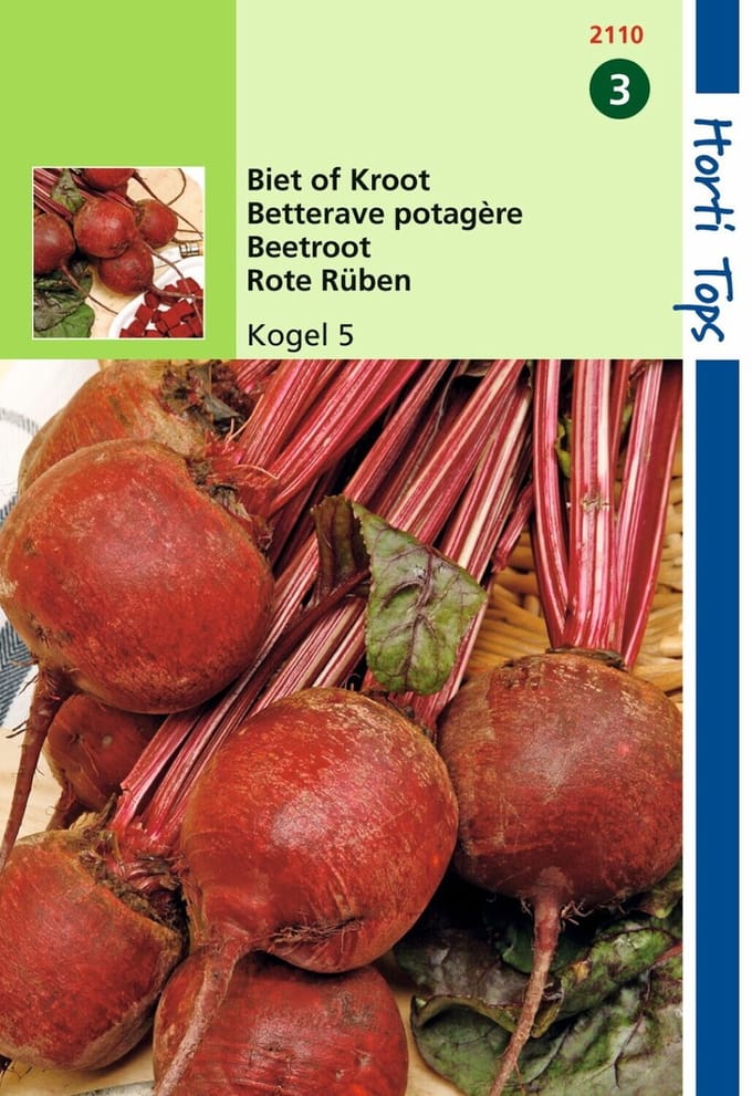 2 stuks - Hortitops - Bieten Kogel 5 Loki