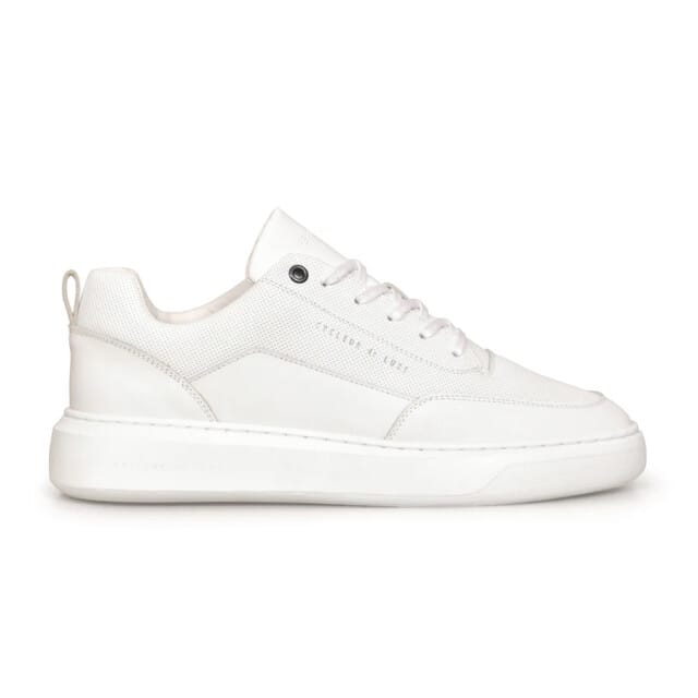 Cycleur de Luxe Cdlm201244