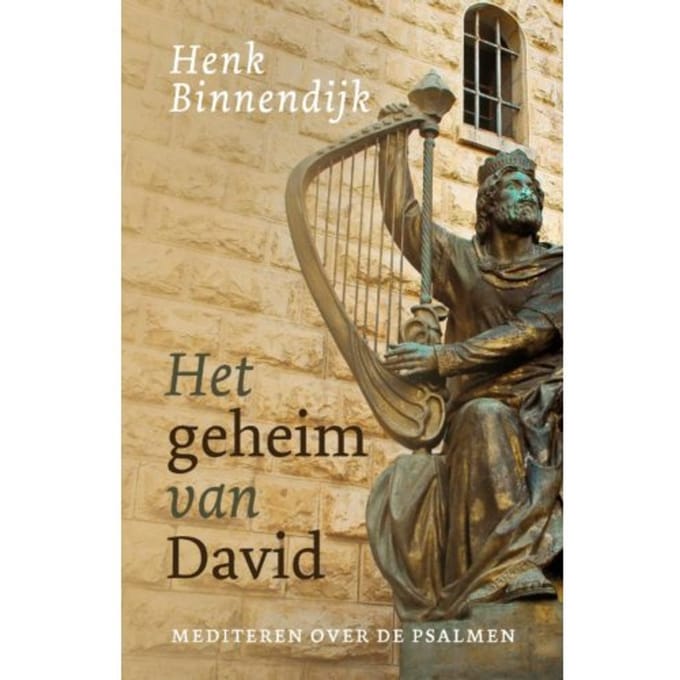 Het Geheim Van David - Henk Binnendijk