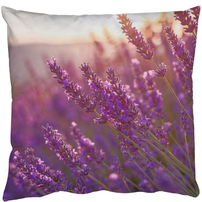 Sierkussens - Kussentjes Woonkamer - 40x40 cm - Lavendel - Paars - Zonlicht