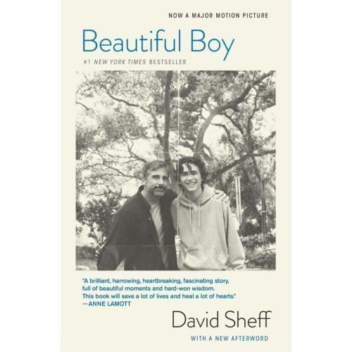 Beautiful Boy (Tie-In) - David Sheff