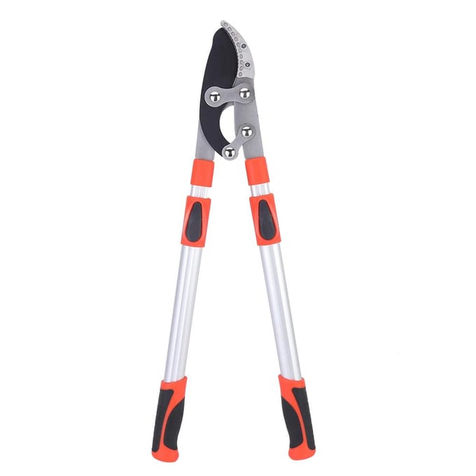 Tuinsnoeischaar Plant Boom Bloem Snoeischaar Knipper Snoeischaar Gereedschap gray