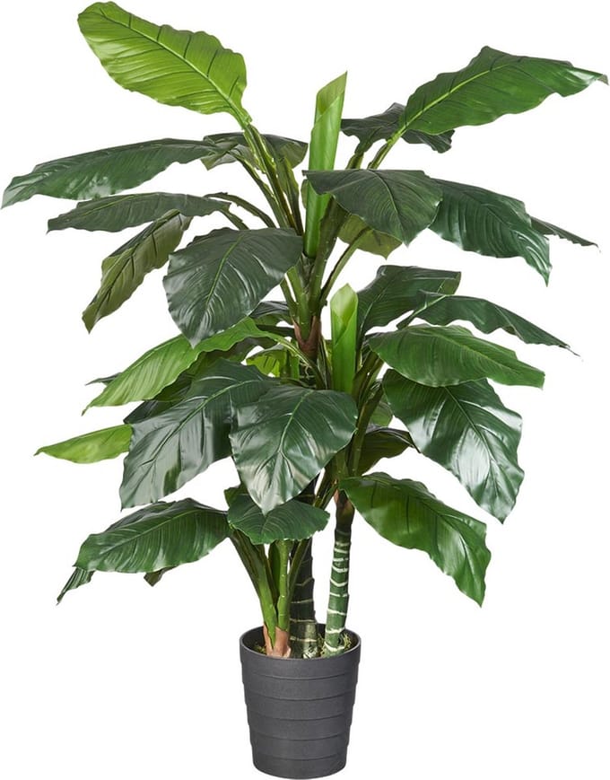 Kunstplant Philodendron H180cm - HTT Decorations kunstplanten